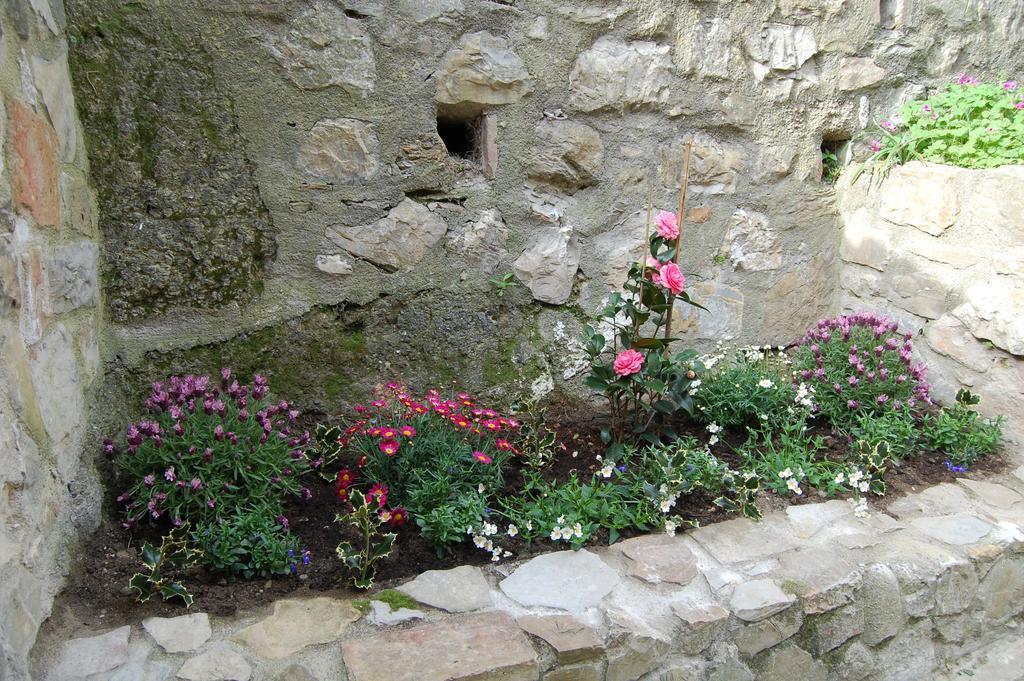 Emily House Hotel Montecerboli Kültér fotó